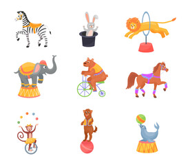 Funny animals on circus show set. Vector illustrations of carnival performance. Cartoon rabbit in hat of magician, cute lion, monkey and elephant performers isolated on white. Entertainment concept