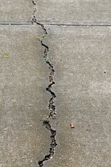 gerissene Asphaltdecke