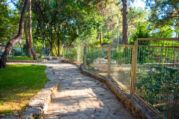 Obraz premium Animals in the small zoo in Antalya, Turkey