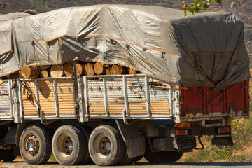 The body of a truck with raw wood for heating is covered with a tarpaulin for transportation safety.