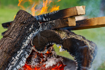 Płonące ognisko, drewno, płomienie, iskry i ciepło, dzień (6).