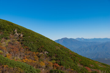 Fototapeta na wymiar 紅葉する御嶽山