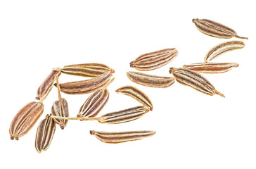 Macro image of cumin seeds isolated on a white background. Caraway seeds.