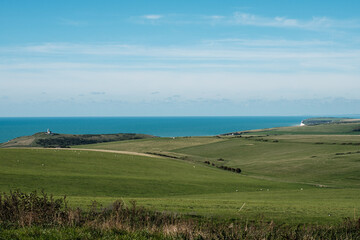 Fototapeta premium Beachy Head, West Sussex, England, United Kingdom