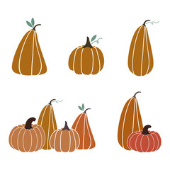 A set of pumpkins in various shapes. Vector collection of cute hand drawn pumpkins on white background. Elements for autumn decorative design, halloween invitation, harvest