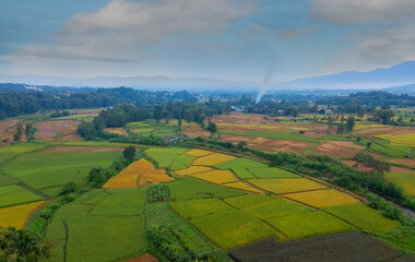 Fototapeta na wymiar Aerial view of the nature with paddy rice field in the rural scenery