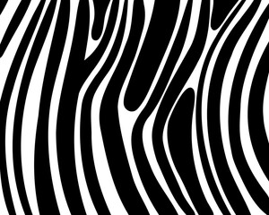 Zebra print, animal skin, tiger stripes, abstract pattern, line background, fabric. Amazing hand drawn vector illustration. Poster, banner