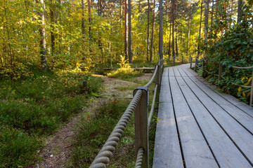 Fototapeta premium wooden bridge in the forest