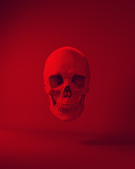 Red Skull Halloween Horror Death Head Human Anatomical Skeleton Red Background 3d illustration render	