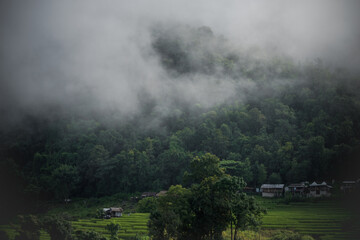 Fototapeta na wymiar fog in the rice terraces landscape