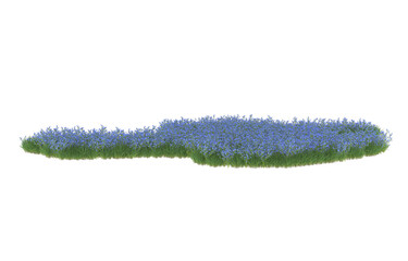 Field of flowers on transparent background. 3d rendering - illustration