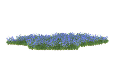 Field of flowers on transparent background. 3d rendering - illustration