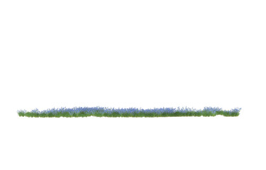 Obraz premium Field of flowers on transparent background. 3d rendering - illustration