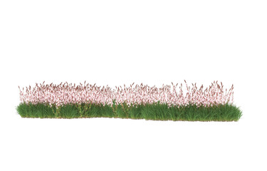 Field of flowers on transparent background. 3d rendering - illustration