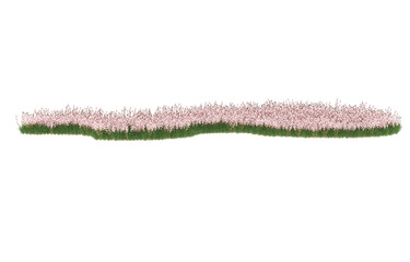 Field of flowers on transparent background. 3d rendering - illustration