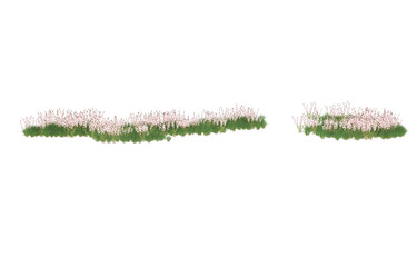 Field of flowers on transparent background. 3d rendering - illustration