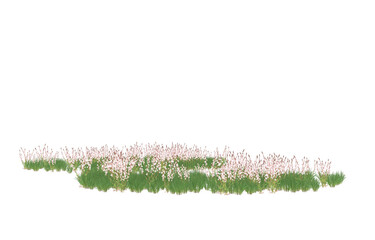Field of flowers on transparent background. 3d rendering - illustration