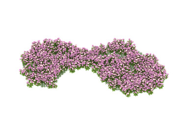 Obraz premium Field of flowers on transparent background. 3d rendering - illustration