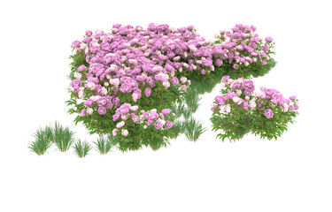 Field of flowers on transparent background. 3d rendering - illustration