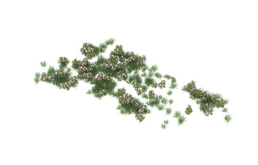 Field of flowers on transparent background. 3d rendering - illustration
