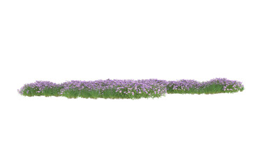 Field of flowers on transparent background. 3d rendering - illustration