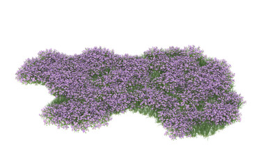 Field of flowers on transparent background. 3d rendering - illustration