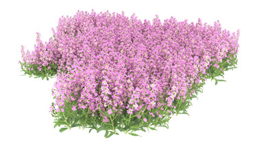 Obraz premium Field of flowers on transparent background. 3d rendering - illustration