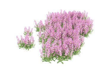 Obraz premium Field of flowers on transparent background. 3d rendering - illustration