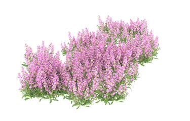 Fototapeta premium Field of flowers on transparent background. 3d rendering - illustration