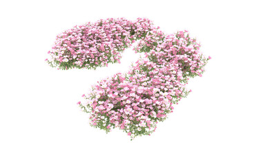 Field of flowers on transparent background. 3d rendering - illustration