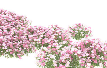 Fototapeta premium Field of flowers on transparent background. 3d rendering - illustration