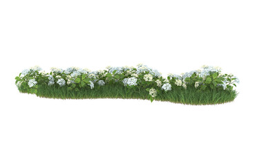 Field of flowers on transparent background. 3d rendering - illustration