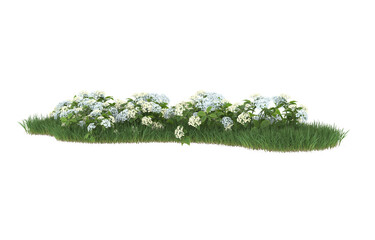 Field of flowers on transparent background. 3d rendering - illustration