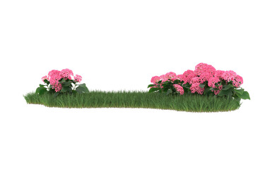 Field of flowers on transparent background. 3d rendering - illustration