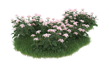 Field of flowers on transparent background. 3d rendering - illustration
