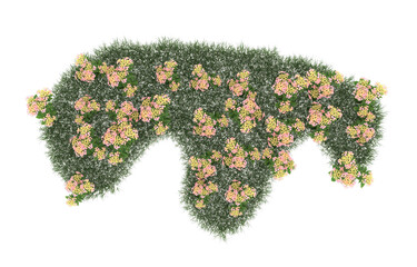 Field of flowers on transparent background. 3d rendering - illustration