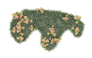 Field of flowers on transparent background. 3d rendering - illustration