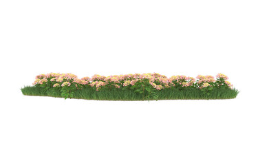 Field of flowers on transparent background. 3d rendering - illustration