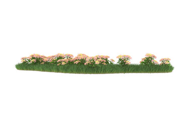 Field of flowers on transparent background. 3d rendering - illustration