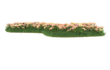Field of flowers on transparent background. 3d rendering - illustration