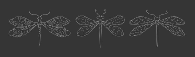 Art nouveau style dragonfly insect basic element. 1920-1930 years vintage design. Symbol motif design.