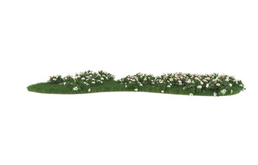 Field of flowers on transparent background. 3d rendering - illustration