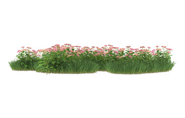 Grass and flowers isolated on background with mask. 3d rendering - illustration