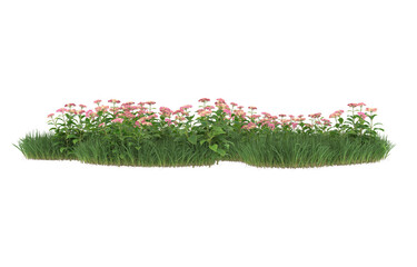 Grass and flowers isolated on background with mask. 3d rendering - illustration