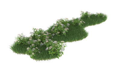 Fototapeta premium Grass and flowers on transparent background. 3d rendering - illustration