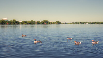  Aussenalster (Outer Alster lake) in Hamburg hdr