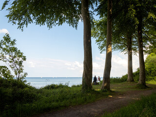 Fototapeta na wymiar Path at the seashore, Baltic sea