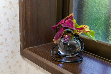 小窓に置かれた小さな花瓶