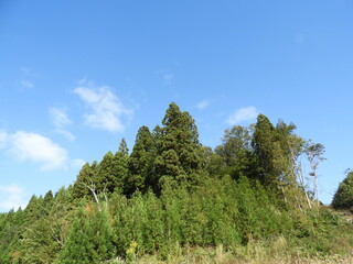 Fototapeta premium 青空と里山