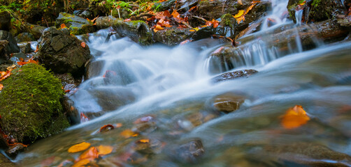 Naklejka na ściany i meble water flow in the forest, autumn landscape. water in slow motion